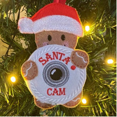 Ginger Santa Cam