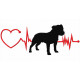 Heartbeat Dogs (44)