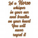 Horse Quotes