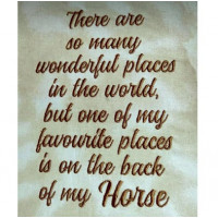 Horse Quotes