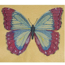 Sketch Butterfly