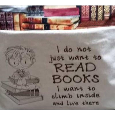 Boy Book Sitter Set