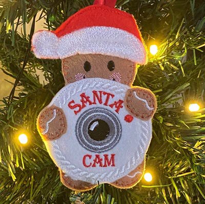 Ginger Santa Cam