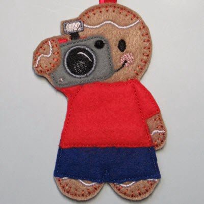 Ginger Photographer