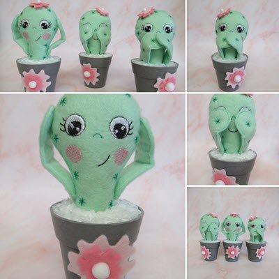 3 Wise Cactus