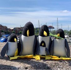 Penguin Shelf Sitters