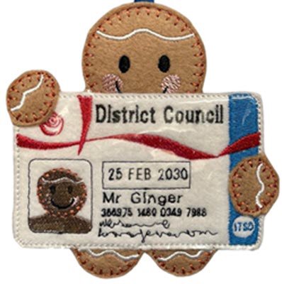 Ginger Travel Bus Pass