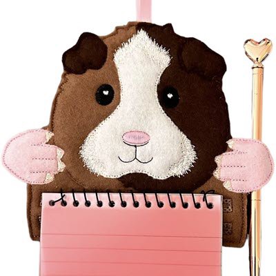 Guinea Pig Notepad and Pen Holder